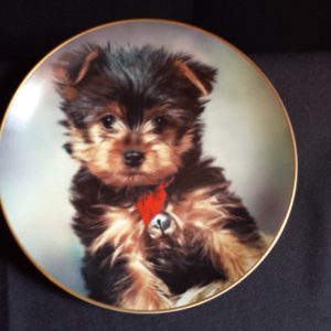 Collector Plate - Take Me Home - Armstrong Collection