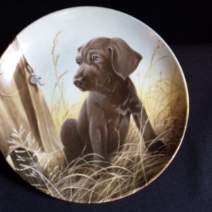 Collector Plate – Command Performance – The Weimaraner – Edwin Knowles "Field Puppies” Collection
