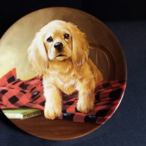 Collector Plate – Shirt Tales – The Cocker Spaniel – Edwin Knowles "Field Puppies” Collection